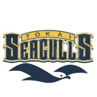 東海大学付属福岡高校 女子バスケ部 ロゴ